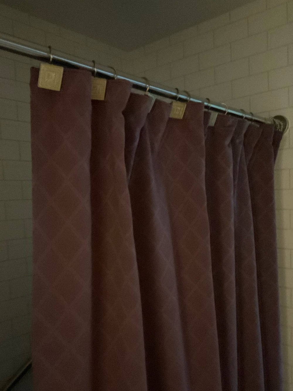 Plum Shower Curtain Panel